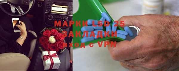 шишки Покачи
