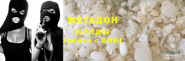 шишки Покачи