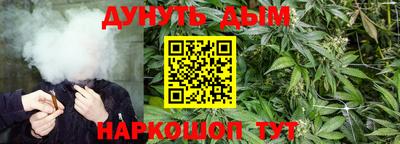 прущие грибы Владимир