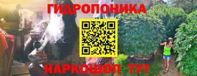 прущие грибы Владимир