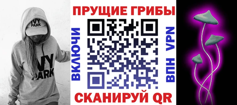 KRAKEN ТОР  Азнакаево  Галлюциногенные грибы ЛСД 