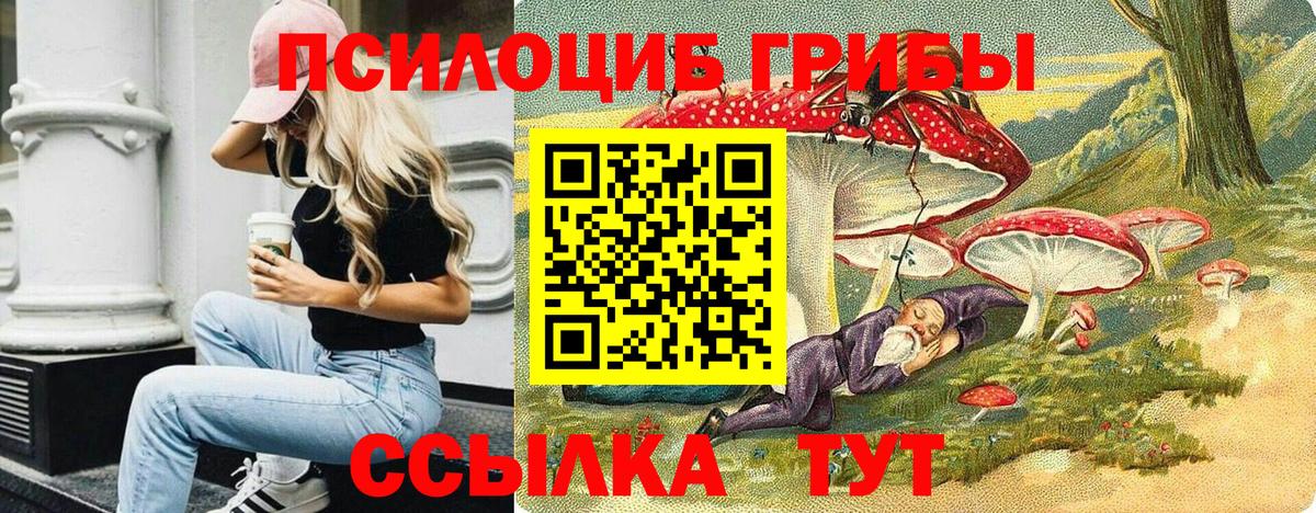 Галлюциногенные грибы MAGIC MUSHROOMS  Галлюциногенные грибы Cubensis  Азнакаево  Вход с VPN 